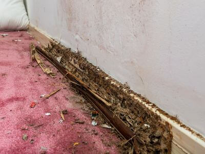 About water damage restoration service - burst pipe water damage experts in Alhambra